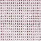 Braid Decorativo 1231