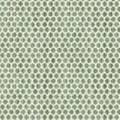 Braid Decorativo 1237