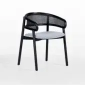 With Armrests Cane