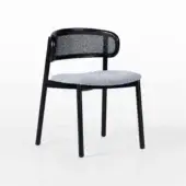 Without Armrests Cane