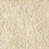 CPRN Homood Fabric (Basic) CF1164 COL.400