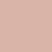 Furla Casa Lacquered NCS S 2010-Y60R Ballerina