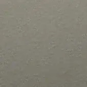 Naos Epoxy Colors 57 Pyrite
