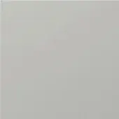 Naos Epoxy Colors 250 Soft Champagne