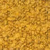 Moroso Gorky A1534 - Gorky 01 col. 52 honey - S