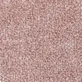 Moroso Fuzzy A7164 - Fuzzy col.113 peach