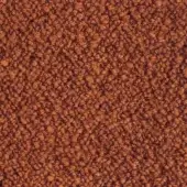 Moroso Gorgone A2297 - Gorgone 98/5 bruciato