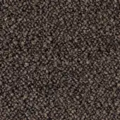 Moroso Gorgone A2299 - Gorgone 98/1 scuro