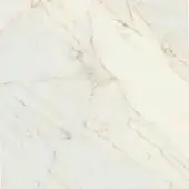Miniforms Porcelain Stoneware Calcatta Supreme