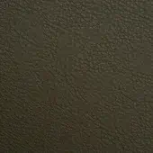 Paolo Castelli Semi-Aniline Leather (G) 6439-olive