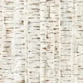 Tecnografica Italian Wallcoverings Vinyl on non-woven fabric 84521-1_BIRCH-WOOD_NATURAL
