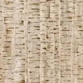 Tecnografica Italian Wallcoverings Vinyl on non-woven fabric 84521-3_BIRCH-WOOD_WALNUT