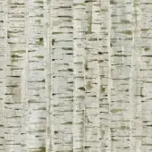 Tecnografica Italian Wallcoverings Vinyl on non-woven fabric 84521-4_BIRCH-WOOD_MOSS