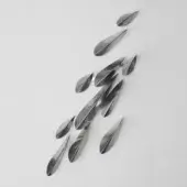 Paolo Castelli Metal All elements in natural glossy steel