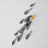 Paolo Castelli Metal 10 elements in natural glossy steel + 1 element in Citrus Yellow varnished metal 100 gloss (NCS S 1060-Y)