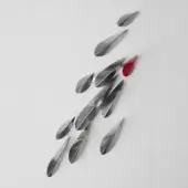 Paolo Castelli Metal 10 elements in natural glossy steel + 1 element in Fire Red varnished metal 100 gloss (RAL 3003)