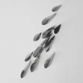Paolo Castelli Metal 10 elements in natural glossy steel + 1 element in Panther Black varnished metal 100 gloss (RAL 9004)