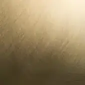 Agresti Special Brushed Brass