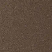 Slide Pop Colours Chocolate Brown
