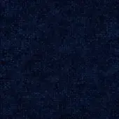 Noctis Penelope Penelope 27
