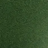 Slide Second Life Colours Pine Green