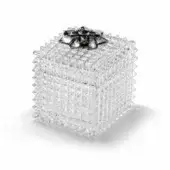 JR Home by John Richmond JR GWEN Boxes Large Clear