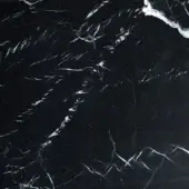 Annibale Colombo Marble Nero Marquina