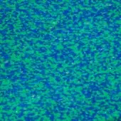 Miniforms Recycled Polyethylene Super Blue