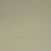 Mariani PF 5004 LR full-grain leather texture, light beige with dense, irregular grain pattern and matte finish.