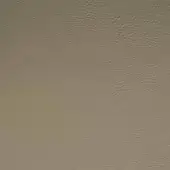 Mariani PF 5005 LR full-grain leather texture, warm gray-beige, matte finish with dense irregular grain and subtle creases.