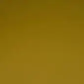 Mariani PF 5009 LR full grain leather texture in mustard yellow, displaying a matte finish and subtle, irregular grain pattern.