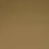 Mariani PF 5023 LR leather texture, golden-brown full-grain with subtle tonal variations, dense pebbled surface and matte finish.
