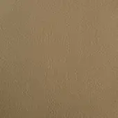 Leather texture sample, warm tan color, dense irregular wrinkles, matte finish, layered grain, organic pattern from Mariani collection.