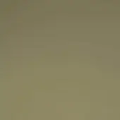 Full-grain saddle leather sample in olive drab displays a smooth, consistent texture with visible natural grain and a “mariani” label.