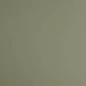 Olive-green matte texture fills the frame, displaying a consistent, solid color with no patterns or gradients, functioning as a background element.