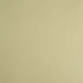Saddle leather texture, warm beige tone, subtle grain pattern, matte finish, seamless background, diffused lighting, natural material.