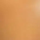 Vegetable-tanned saddle leather sample, golden-brown color, smooth matte finish with natural grain texture, consistent tone, even lighting.