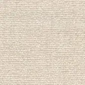 Beige woven fabric texture with horizontal ribbing, matte finish, and nubby surface; label reads “moss r648 col.”