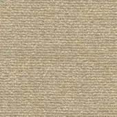 Beige woven fabric texture with granular surface, tight consistent weave, matte finish, presented as a material sample against white background.