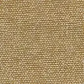 Woven fabric texture, golden-brown with mottled tones, dense horizontal-vertical weave, matte finish, identified as moss r657 col 21.