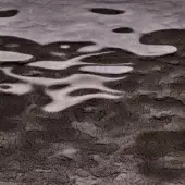 Cracked asphalt texture with reflective water patterns in dark gray and white, creating a dynamic, monochromatic composition of light and shadow.