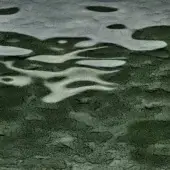 Cast glass dark green vt20 displays fractured texture beneath translucent layer, creating distorted white & gray organic shapes with diffused light.