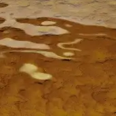 Cast glass panel, yellow mustard color, with irregular flowing patterns and transparent sections displaying undulating texture.