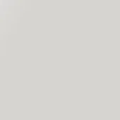 Pale gray monochromatic composition, smooth uniform surface, subtle tonal variations, matte finish, minimalist neutral backdrop, no discernible pattern.