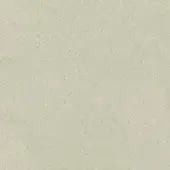 Pale grey fabric texture, close-up view of a uniform woven material, displaying subtle tonal variations and a granular surface, with text identification.