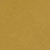 Mustard yellow matte texture with a fine, consistent granular surface and uniform distribution, presenting a neutral, solid color composition.