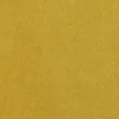 Mustard yellow fabric sample with dense granular texture, matte finish, and woven appearance; Arketipo Elite collection indoor textile.