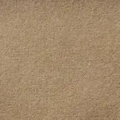 Granular beige texture displaying a consistent, matte surface composed of fine particles, evenly distributed with subtle surface variation.