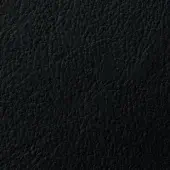 Black leather texture with a dense, pebbled surface and subtle tonal variations, displaying a tactile, slightly rough appearance; material code 110030002401.