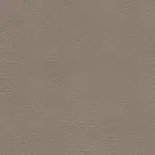 Light taupe leather texture displaying a fine crease network and matte finish, uniform pattern suitable for upholstery applications.